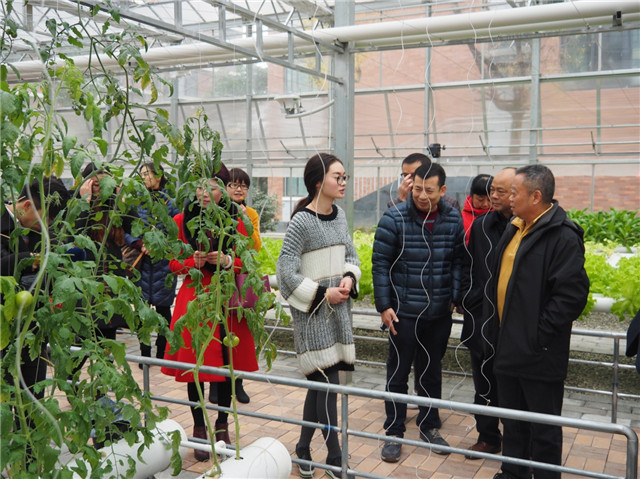 走進(jìn)東辰、多方共融、攜手共進(jìn)