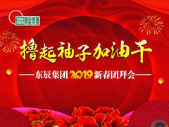 東辰集團(tuán)2019新春團(tuán)拜會(huì)網(wǎng)絡(luò)直播