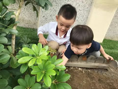 獲得國際學(xué)前教育界高度肯定的“安吉游戲”，東辰的幼兒園是怎么做的？