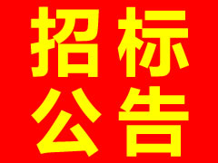廣澤項目施工總承包招標(biāo)公告